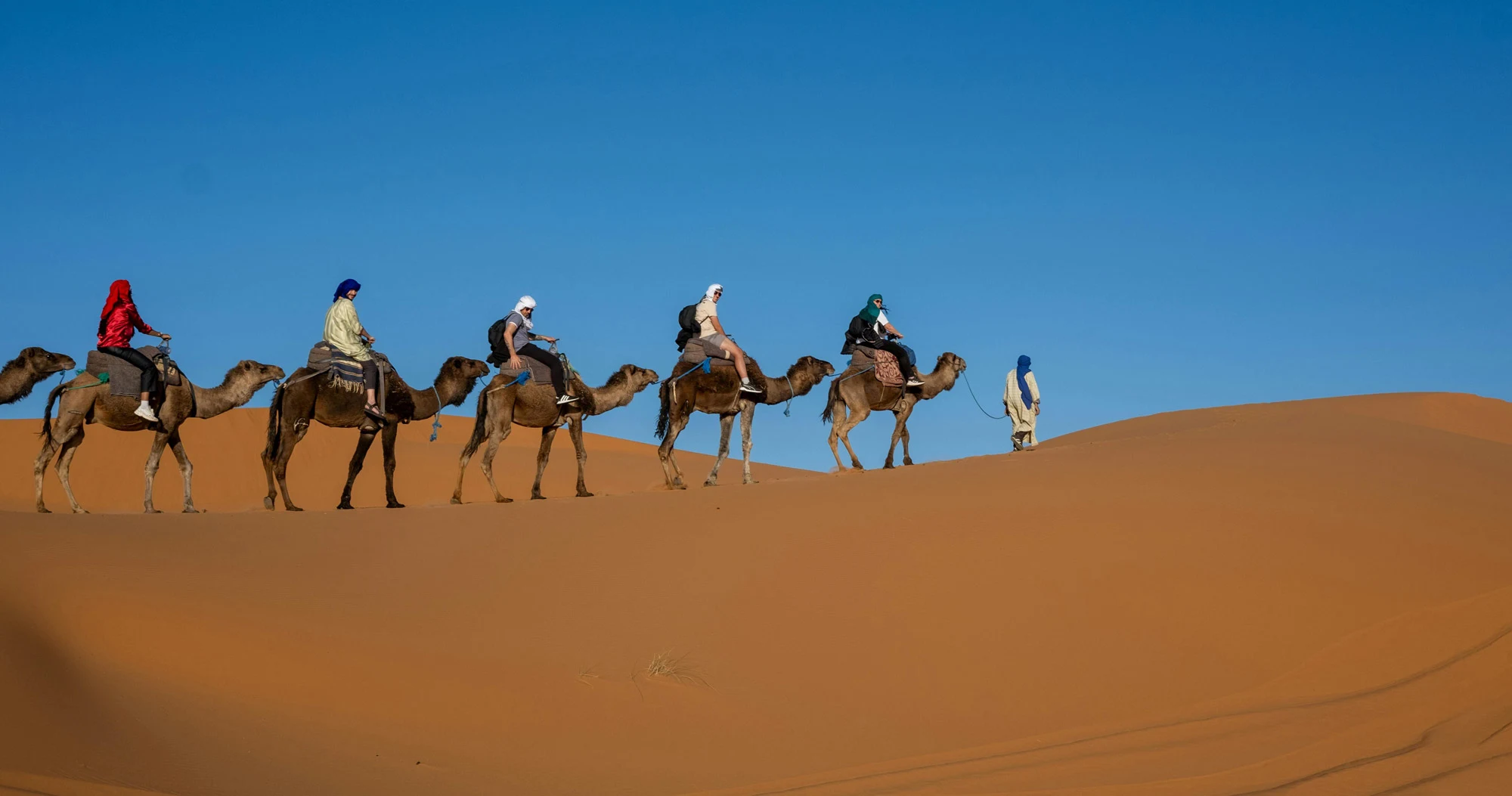 camel riding adventure