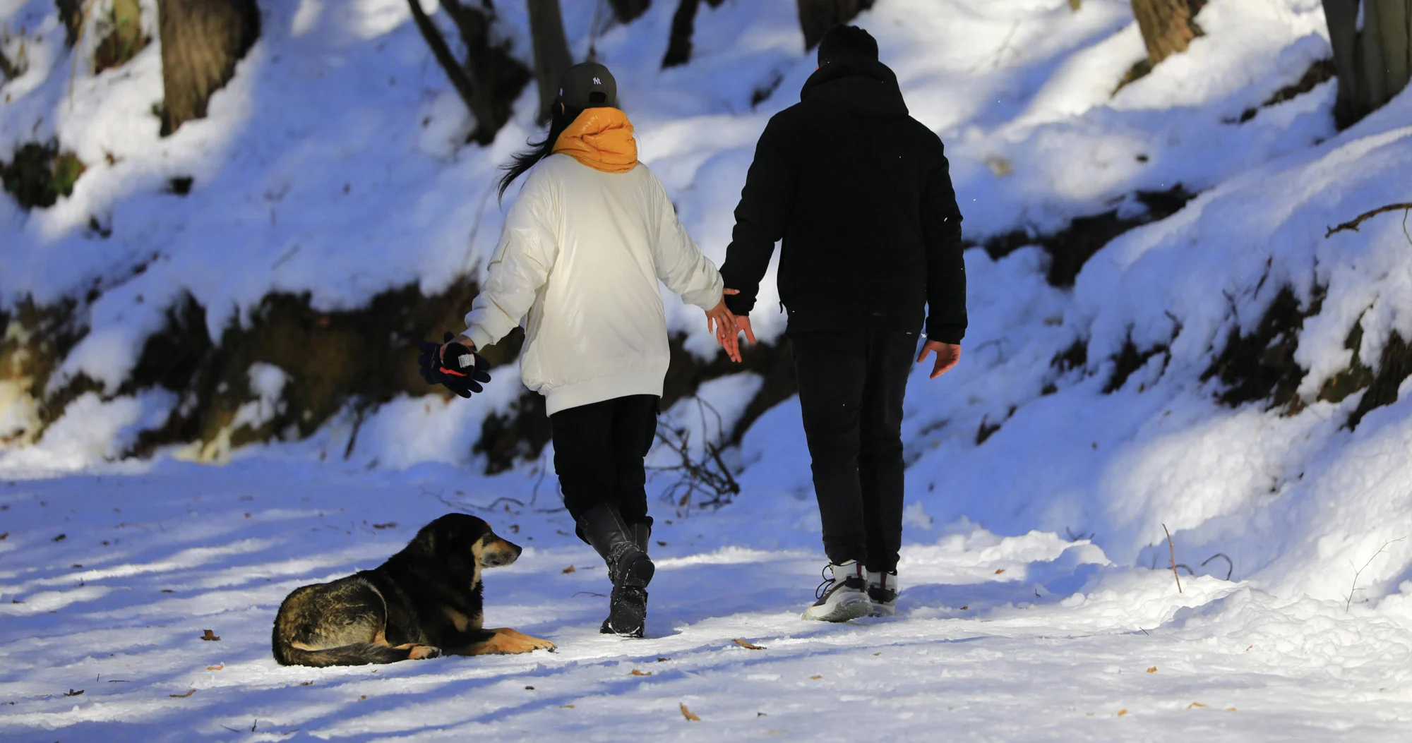 honeymoon travel plan in winter