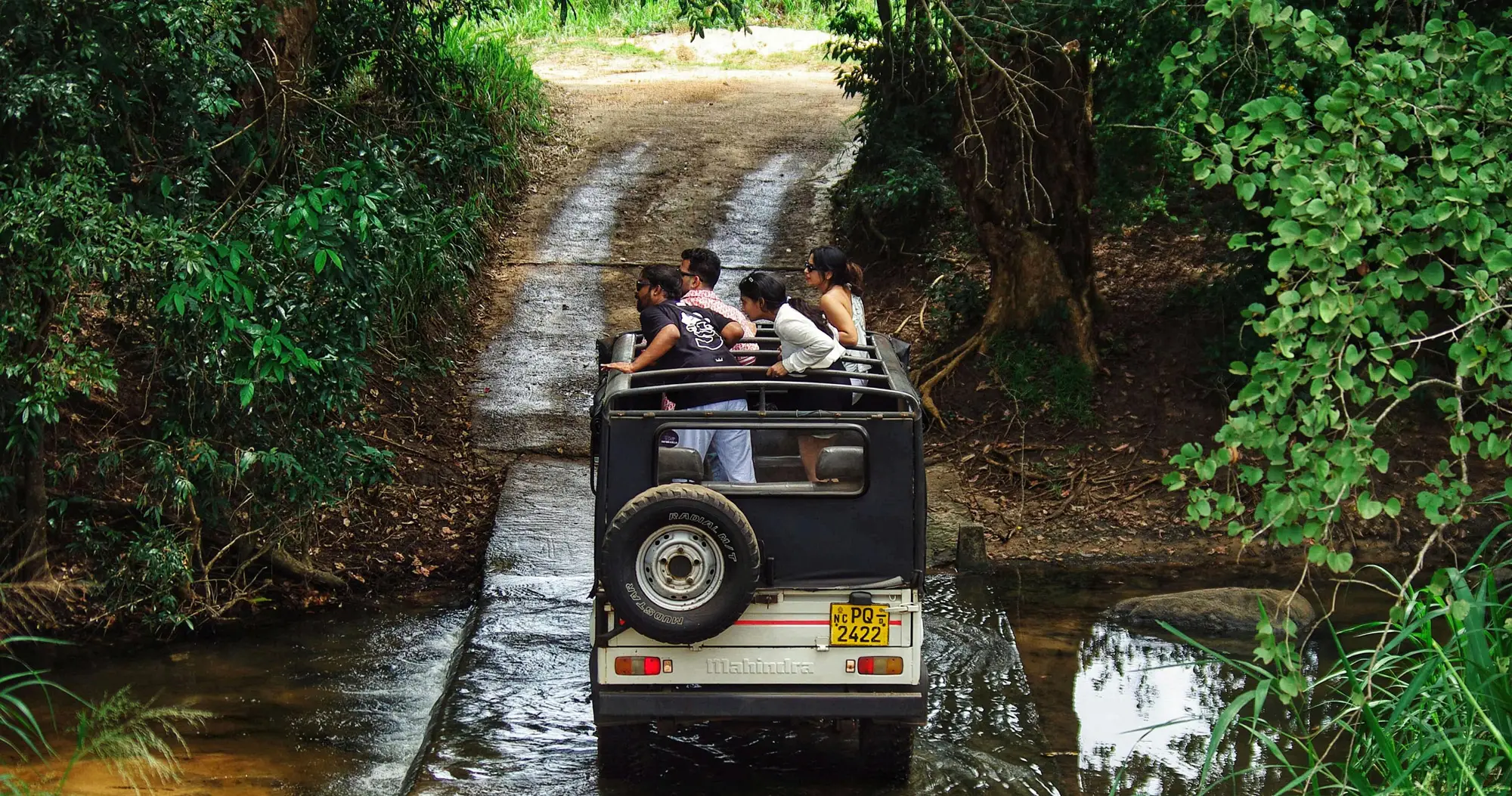 jungle safari