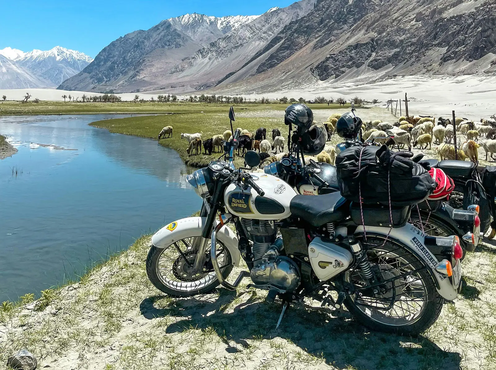 ladakh bide ride