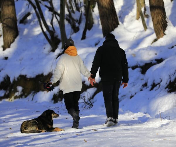 Romantic Manali Honeymoon Escape