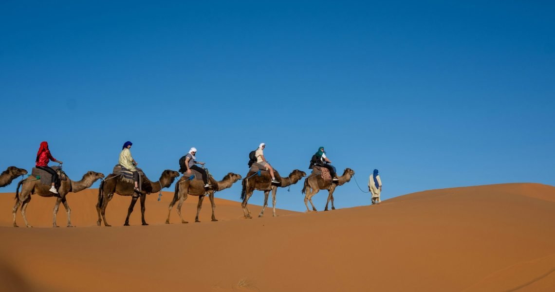 whitehilladventures-camel-riding