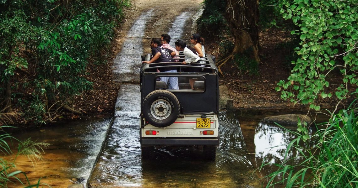 whitehilladventures-jungle-safari